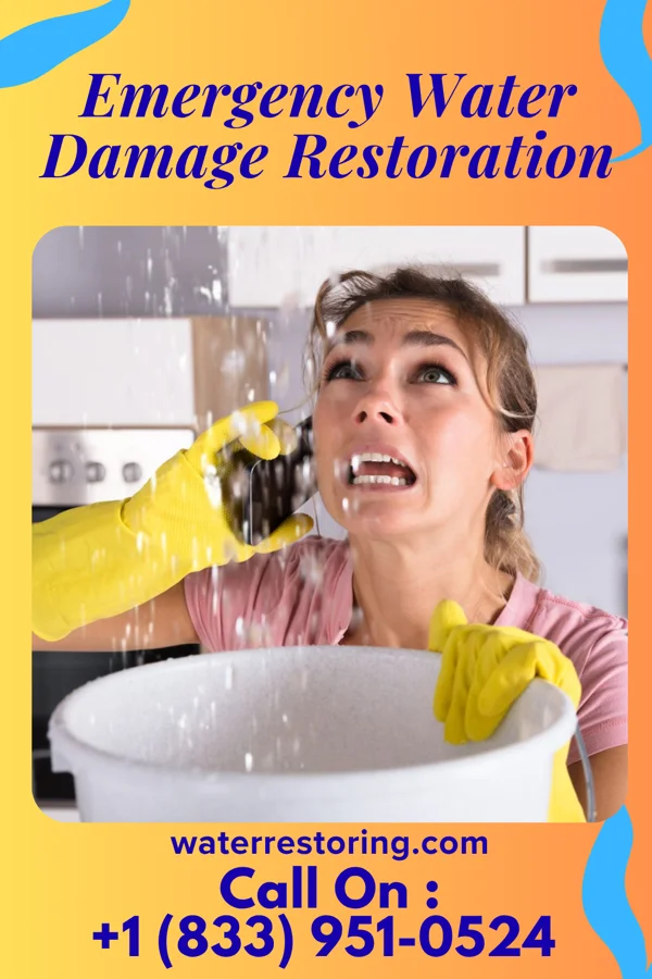 Emergency Water Damage Restoration in Hawaiian Acres, HI