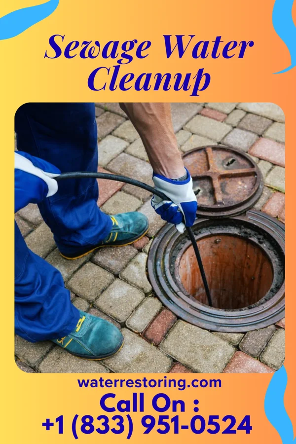 Sewage Water Cleanup in Hawaiian Acres, HI